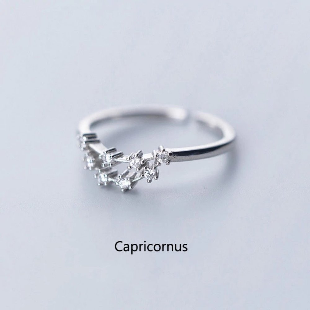 Sterling Silver Zodiac Resizable Ring-Capricorn